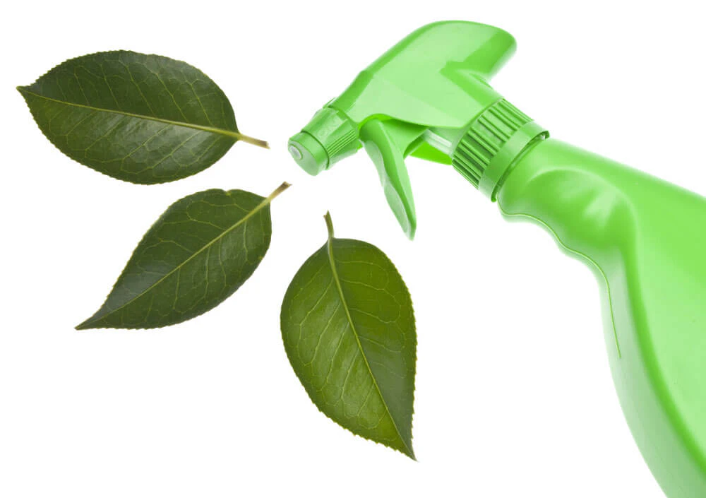 Green Janitorial Services: Protecting Your Workers’ Quality of Life