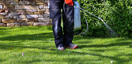  Weed Control Services for Beds and Turf