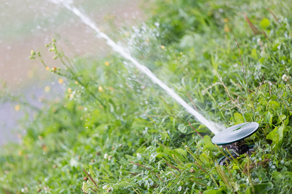  Don't Have a Green Thumb? Here Are Some Irrigation Services for Your Residence