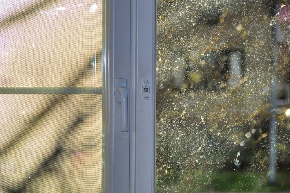 Door with pollen on the windows Top 5 Reasons It's Imperative to Pressure Wash for Pollen This Spring